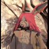 Nummi_Bunni